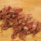 おこげもやみつき♪旬のホタルイカの炊き込みごはん♪お花見