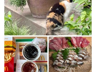 ８日のいろいろ　20260508