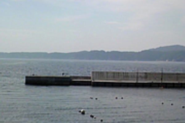 その日の気分で釣り行こー 釣り