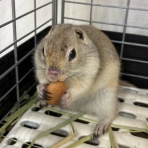 かねだい足立店ブログ