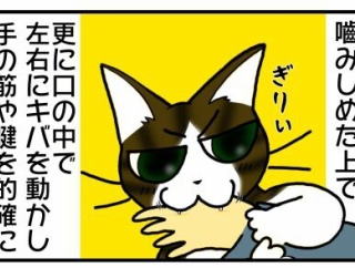 ただのドSな噛み猫だと思っていたうちの猫の噛み技が、神業級のプロの職人技だった事が判明した件