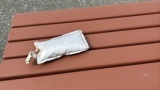 【緊急】道端にバッテリー落ちてたんやがどうすればいい？（※画像あり）