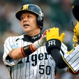 『【野球】阪神藤井の良いところを挙げていけ』の画像