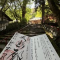 「そうだ！山口へ行こう！」⑤ どんどん狭くなる道の先へ。秘境の古刹で独り占めする「凛」とした時間。