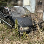 FAIRLADY Z fan