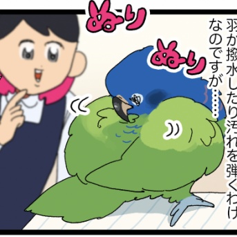鳥さんは臭くないけど、くちゃい