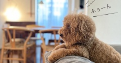 終わってしまった…久しぶりに"ロス"になった番組