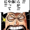 ワンピースのまとめ センゴク