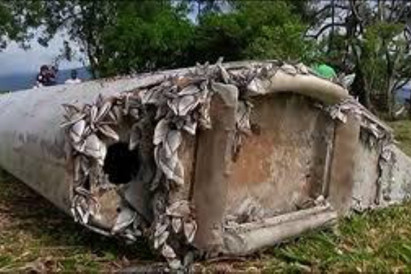 行方不明のマレーシア航空ｍｈ３７０便続報 ａｍｉｎのつれづれなる日記