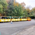 せきぐちゆき オフィシャルブログ -由紀帳-