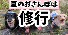 ベロベロなったし。