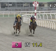 HBAトレーニングセール2026　個人的に思い入れの強い馬