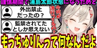 【ぶいすぽ】めっさん、流行りを知らなさすぎて監禁説まで出てしまうｗ