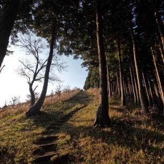 日本や世界や宇宙の動向