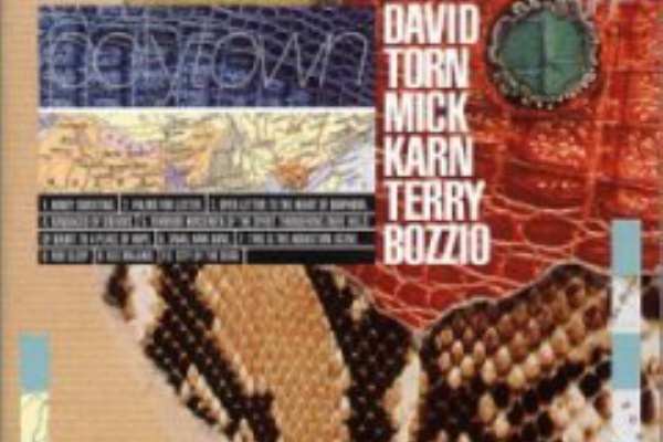 80 S Uk New Wave Mick Karn