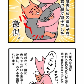 34歳 AIH→子宮筋腫摘出→ICSI にゃんちゃもロースの不妊治療(KLC)