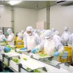 食品工場ってひきこもりでも出来る？