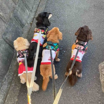 せっかくの晴れなのに仕事。