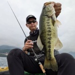 テイルウォーク開発日記