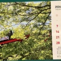 2026年カレンダー販売中❗️