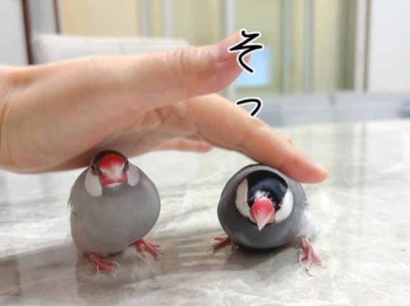 仲が悪くない時の写真こそ
