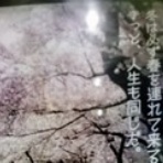 mico だんすぃんぐ