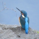 そりゃケッコウ