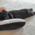 今日も。