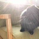 ツッコミ待ち。