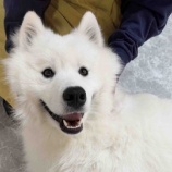『ライトくん正式譲渡おめでとう🐻‍❄️️🩵』の画像