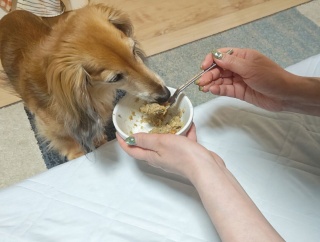 今を生きる　〜食事〜