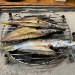 セフロの「夢、憧れ、そして現実」