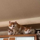 ちょっと落ち着いてきました