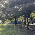 K公園へ