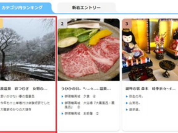 カテゴリーランキング一位になりました！