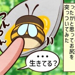 セニョリータかめのバルセロナ生活