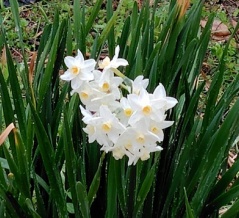 私の子ども時代は、まだまだ戦後