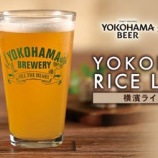 『【横浜ビール×崎陽軒】シウマイ弁当には「YOKOHAMA RICE LAGER」を』の画像