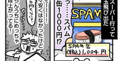 我が家で作るラストスパム玉子おにぎりになるかもしれません。
