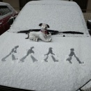 アビーロードな朝。