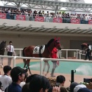 インカルナータ  新馬戦  ４番人気   優勝