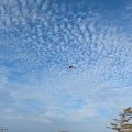 飛行機を見に行く