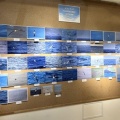海鳥の企画展示を開催！
