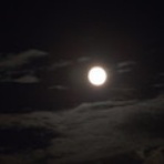 技術英語翻訳のプロの仕事術