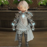 『FF14 エウプロシュネでタンク胴をもらえてタンク4部位が揃いましたーヾ(〃^∇^)ノ レベル90』の画像