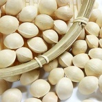 ■■速報＠保管庫(Alt)■■