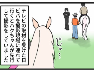 我が家の名役馬