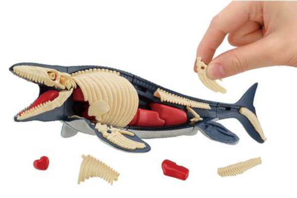 人気の解体パズル最新作 海の王者 モササウルス復元パズル が登場 落穂log