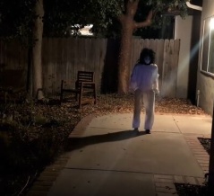 夜中に“コレ”に出くわしたら怖すぎる