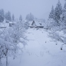 2026.1.20　一枚の彩時季